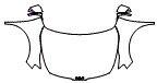 Full Hood, Fender and Mirror Kit pattern for the 2023 Kia Sportage