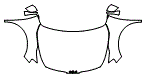 Full Hood, Fender and Mirror Kit pattern for the 2023 Kia Sportage