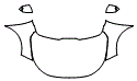 Fender, Full Hood and Mirror Kit pattern for the 2026 Kia Niro Hybrid
