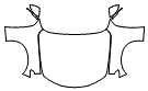 Full Hood, Fender and Mirror Kit pattern for the 2026 Alfa Romeo Giulia