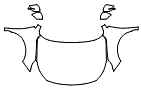 Full Hood, Fender and Mirror Kit pattern for the 2025 Subaru Legacy