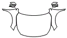 Full Hood, Fender and Mirror Kit pattern for the 2015 Subaru Outback
