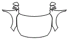Full Hood, Fender and Mirror Kit pattern for the 2018 Subaru Outback