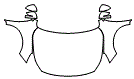 Full Hood, Fender and Mirror Kit pattern for the 2018 Subaru Outback