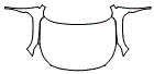 Full Hood and Fender Kit pattern for the 2022 Subaru Outback