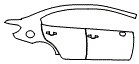 Door and Rear Fender Kit pattern for the 2019 Subaru WRX