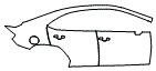 Door and Rear Fender Kit pattern for the 2026 Subaru WRX