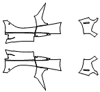 Rocker Panel Kit pattern for the 2016 Ferrari LaFerrari