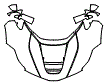 Full Hood, Fender and Mirror Kit pattern for the 2016 Ferrari LaFerrari