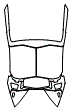 Roof Kit pattern for the 2023 Lamborghini Aventador