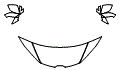 Hood, Fender and Mirror Kit pattern for the 2024 Lamborghini Huracan