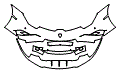 Bumper Kit pattern for the 2020 Lamborghini Huracan