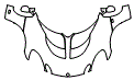 Full Hood, Fender and Mirror Kit pattern for the 2009 Lotus Elise