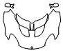 Full Hood and Mirror Kit pattern for the 2013 Lotus Elise