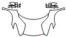 Full Hood, Fender and Mirror Kit pattern for the 2026 Lotus Emira