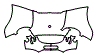 Nose Cone Kit pattern for the 2020 Shelby Superformance