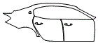 Door and Rear Fender Kit pattern for the 2024 Maserati Ghibli