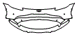 Bumper Kit pattern for the 2021 Aston Martin Vantage
