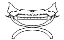 Bumper Kit pattern for the 2022 Aston Martin Vantage