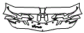 Bumper Kit pattern for the 2020 Pagani Huayra