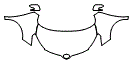 Hood, Fender and Mirror Kit pattern for the 2014 Scion xD