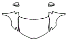 Full Hood, Fender and Mirror Kit pattern for the 2016 Scion iM
