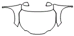 Full Hood, Fender and Mirror Kit pattern for the 2026 Lexus NX