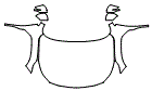 Full Hood, Fender and Mirror Kit pattern for the 2023 Subaru Outback