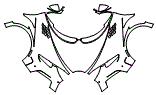 Fender, Full Hood and Mirror Kit pattern for the 2024 Bugatti Chiron