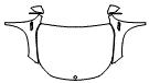 Full Hood, Fender and Mirror Kit pattern for the 2025 Mercedes Benz EQB SUV