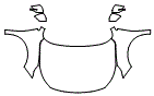 Full Hood, Fender and Mirror Kit pattern for the 2025 Subaru Legacy