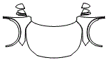 Full Hood, Fender and Mirror Kit pattern for the 2026 Lexus RX