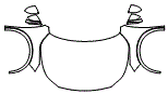 Full Hood, Fender and Mirror Kit pattern for the 2026 Lexus RX