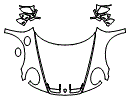Full Hood, Fender and Mirror Kit pattern for the 2023 Porsche 911 (992.1)