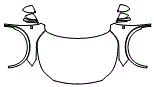 Full Hood, Fender and Mirror Kit pattern for the 2026 Lexus RX