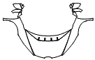 Full Hood, Fender and Mirror Kit pattern for the 2024 Lamborghini Huracan