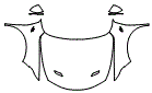 Full Hood, Fender and Mirror Kit pattern for the 2025 Dodge Hornet