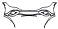 Bumper Kit pattern for the 2023 Mercedes Benz EQE Sedan