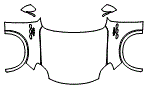 Full Hood, Fender and Mirror Kit pattern for the 2027 Maserati Grecale
