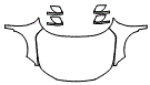 Full Hood, Fender and Mirror Kit pattern for the 2026 Honda Civic