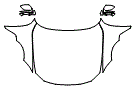 Full Hood, Fender and Mirror Kit pattern for the 2027 BMW 4 Series