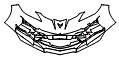 Bumper Kit pattern for the 2027 Chevrolet Corvette