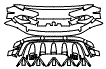 Rear Bumper Kit pattern for the 2024 Lamborghini Huracan