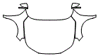 Full Hood, Fender and Mirror Kit pattern for the 2026 Honda Accord