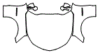 Full Hood, Fender and Mirror Kit pattern for the 2024 Chevrolet Camaro