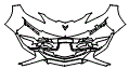 Bumper Kit pattern for the 2027 Chevrolet Corvette