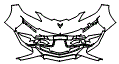 Bumper Kit pattern for the 2027 Chevrolet Corvette