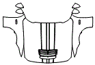 Full Hood, Fender and Mirror Kit pattern for the 2026 Ford Mustang
