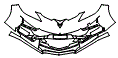 Bumper Kit pattern for the 2027 Chevrolet Corvette