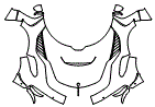 Full Hood, Fender and Mirror Kit pattern for the 2026 Koenigsegg Jesko Attack